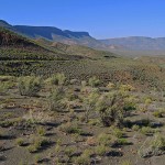 Bloukrans Pass, Calvinia