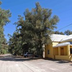 Shady street scene in Vosburg