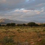 Evening light in the Willowmore District