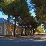 The shady tree-lined streets in Loxton