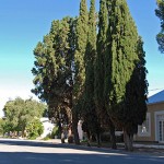 Tree-lined Carnarvon Street leads to the Village Square