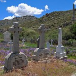 The family graves of Douglas and Emma Logan in the Monument Graveyard west of Matjiesfontein