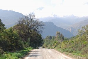 Klein Swartberg north of Ladismith